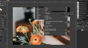 Manual de GIMP - Abrir en capas.png