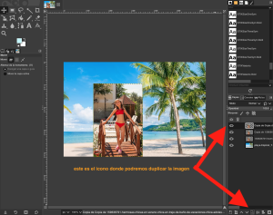 Manual de GIMP - Duplicar imagen.png
