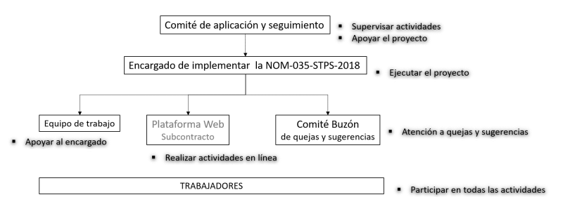 Archivo:Manual-NOM-035-STPS-2018-V1.0Alpha-Procedimiento General de la NOM-035-STPS-2018 - Organigrama NOM-035-STPS-2018 V1.0Alpha.png